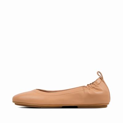 Brown Women's Fitflop ALLEGRO Soft Leather Ballet Flats | NH2385176