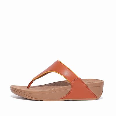 Brown Women's Fitflop LULU Pop Binding Toe-Post Sandals | LF0652483