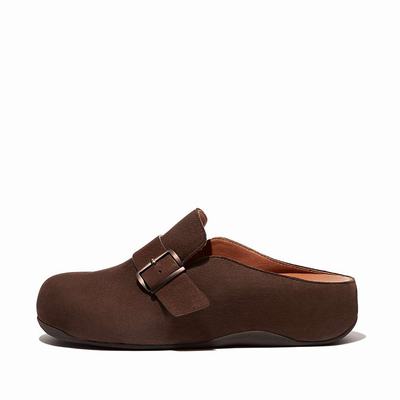 Brown Women's Fitflop SHUV Buckle Strap Leather Clogs | ZE3908456