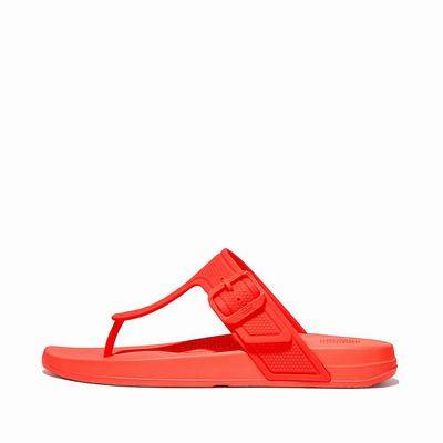 Orange Women's Fitflop IQUSHION Adjustable Buckle Flip Flops | IR2086154