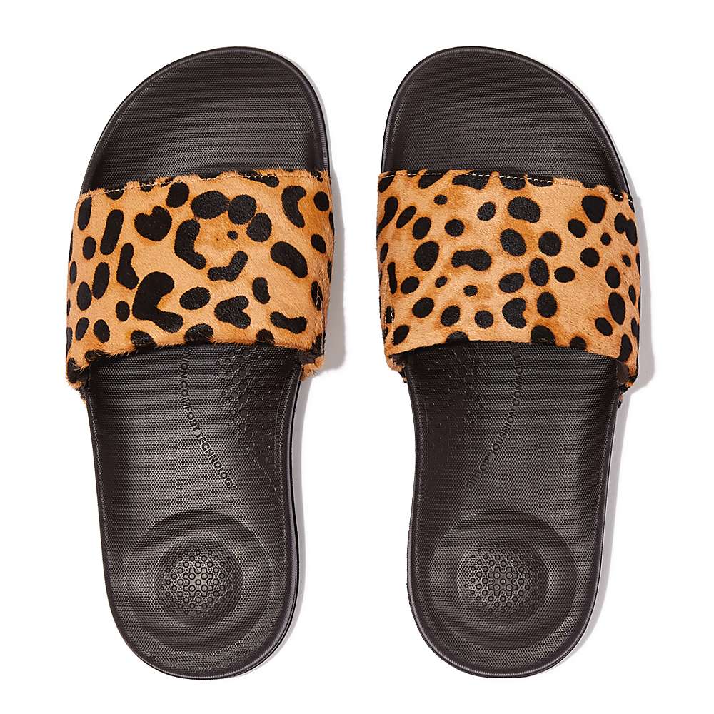 Leopard Women's Fitflop IQUSHION Leopard-Print Leather Slides Slides | JC5923170