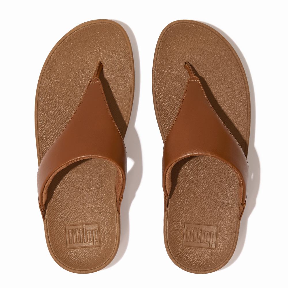 Light Brown Women's Fitflop LULU Leather Toe-Post Sandals | SP2476503