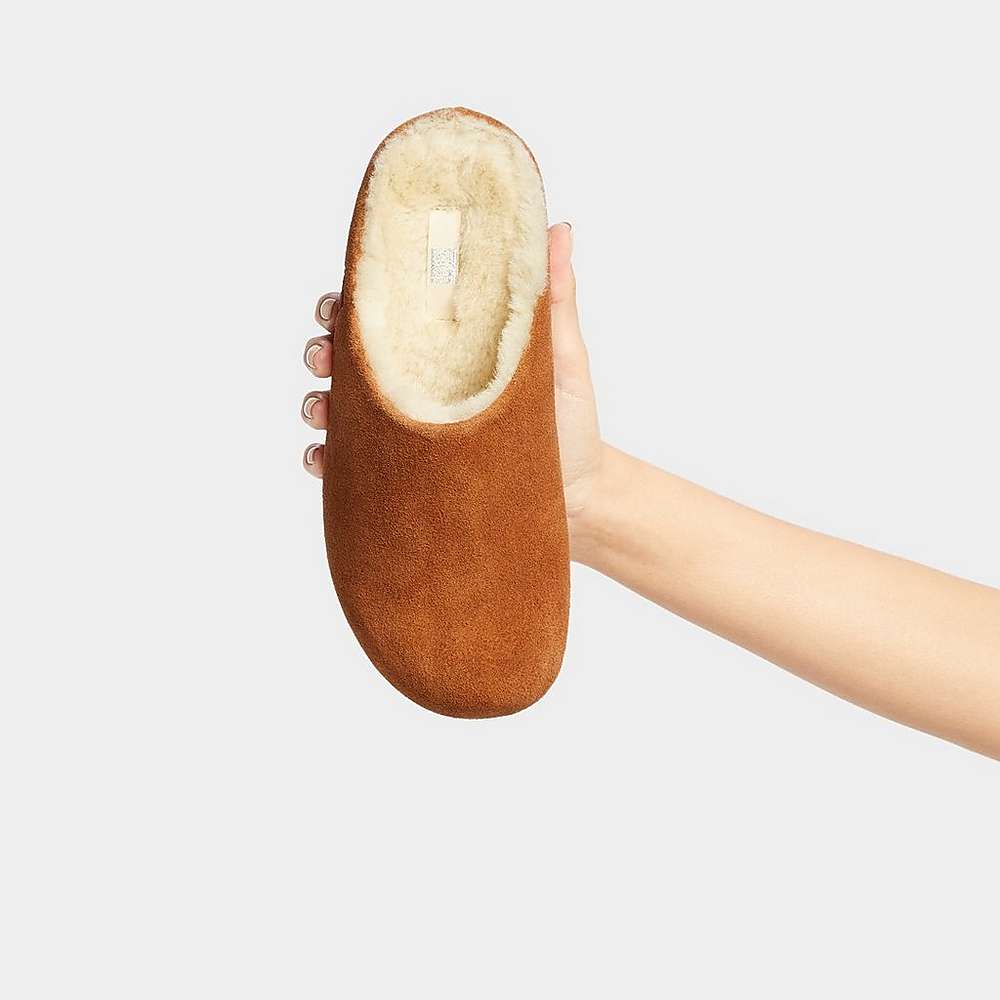 Light Brown Women's Fitflop SHUV Shearling-Lined Suede Clogs | ZS4260971