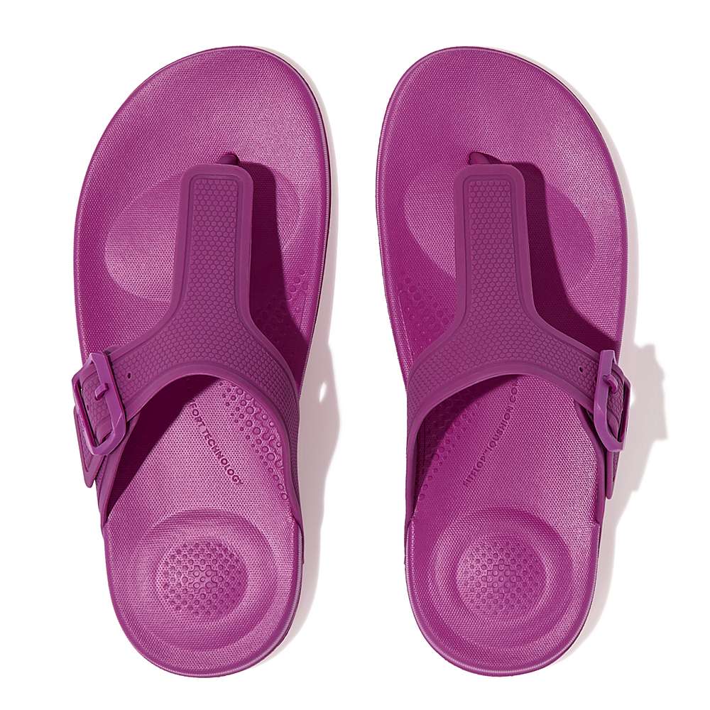 Purple Women's Fitflop IQUSHION Adjustable Buckle Flip Flops | LC5364298